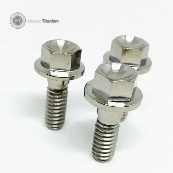 516 titanium bolt (2).webp